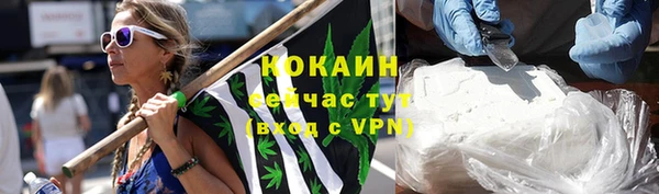 гидра Бородино