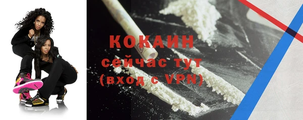 гидра Бородино