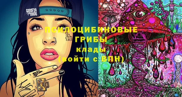 герыч Бронницы