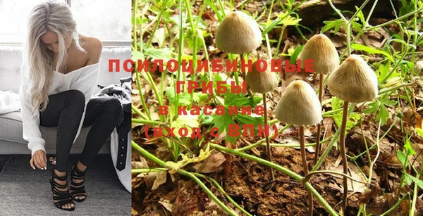 гидра Бородино