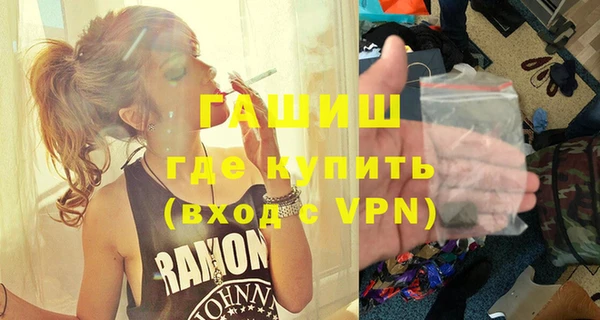 гидра Бородино