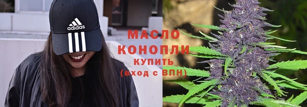 гидра Бородино