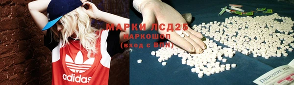 гидра Бородино